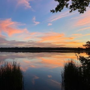 Meet your Posher, Camryn